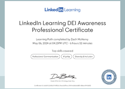 LinkedIn DEI Professional